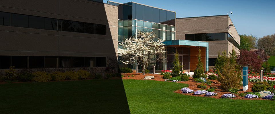 Litchfield Park Landscapers