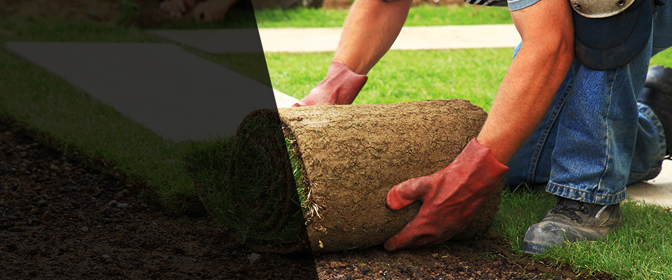 Litchfield Park Landscapers